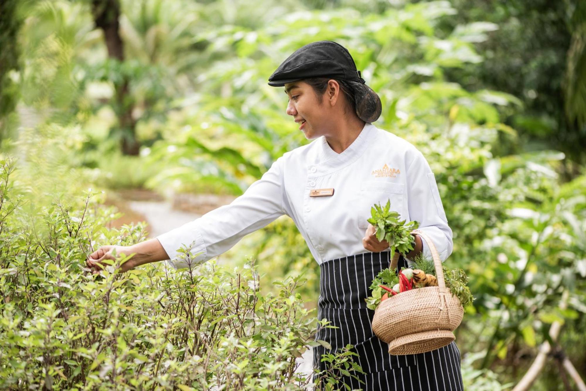 Anantara Koh Yao Yai Resort & Villas Ko Yao المظهر الخارجي الصورة